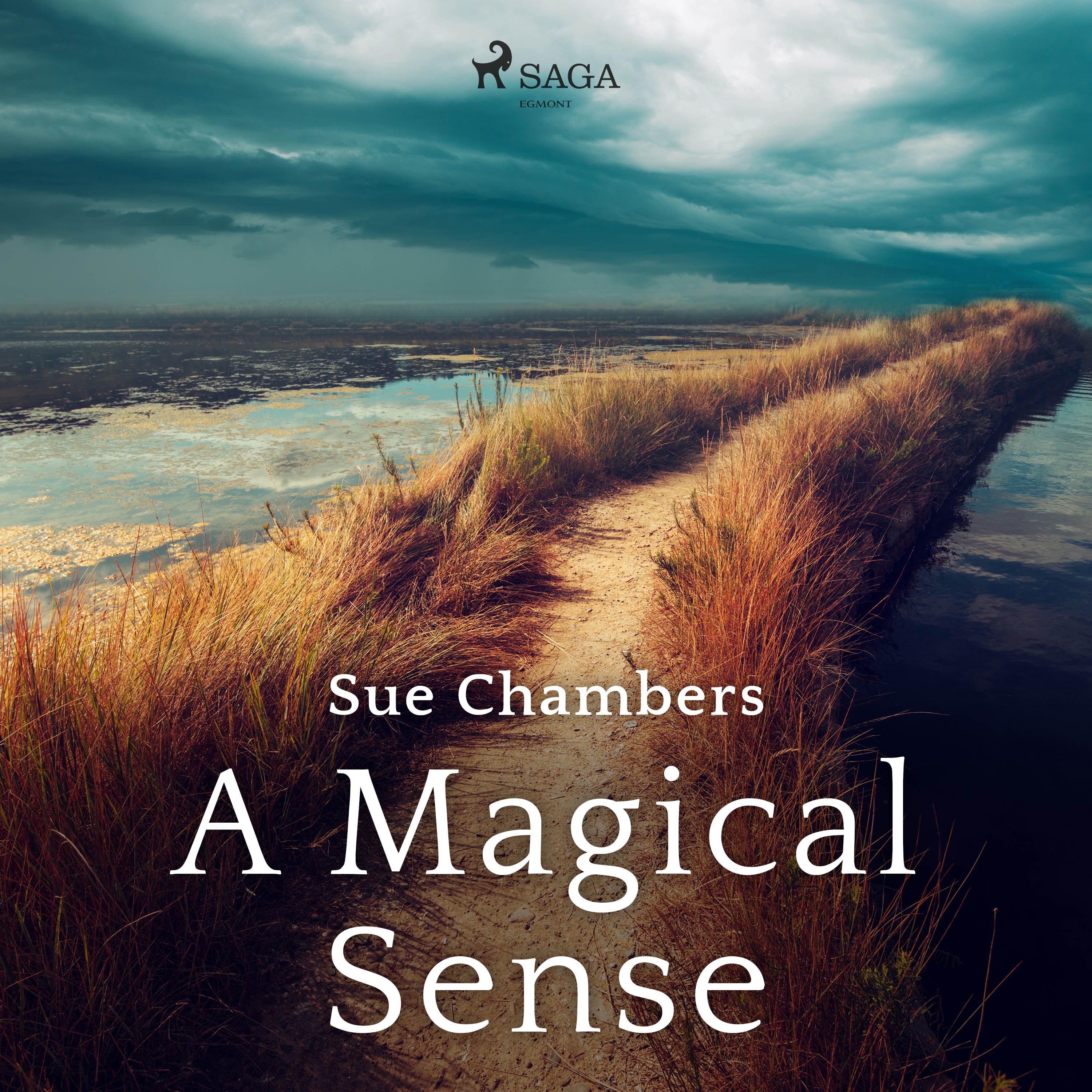 A Magical Sense, audiobook by Sue Chambers