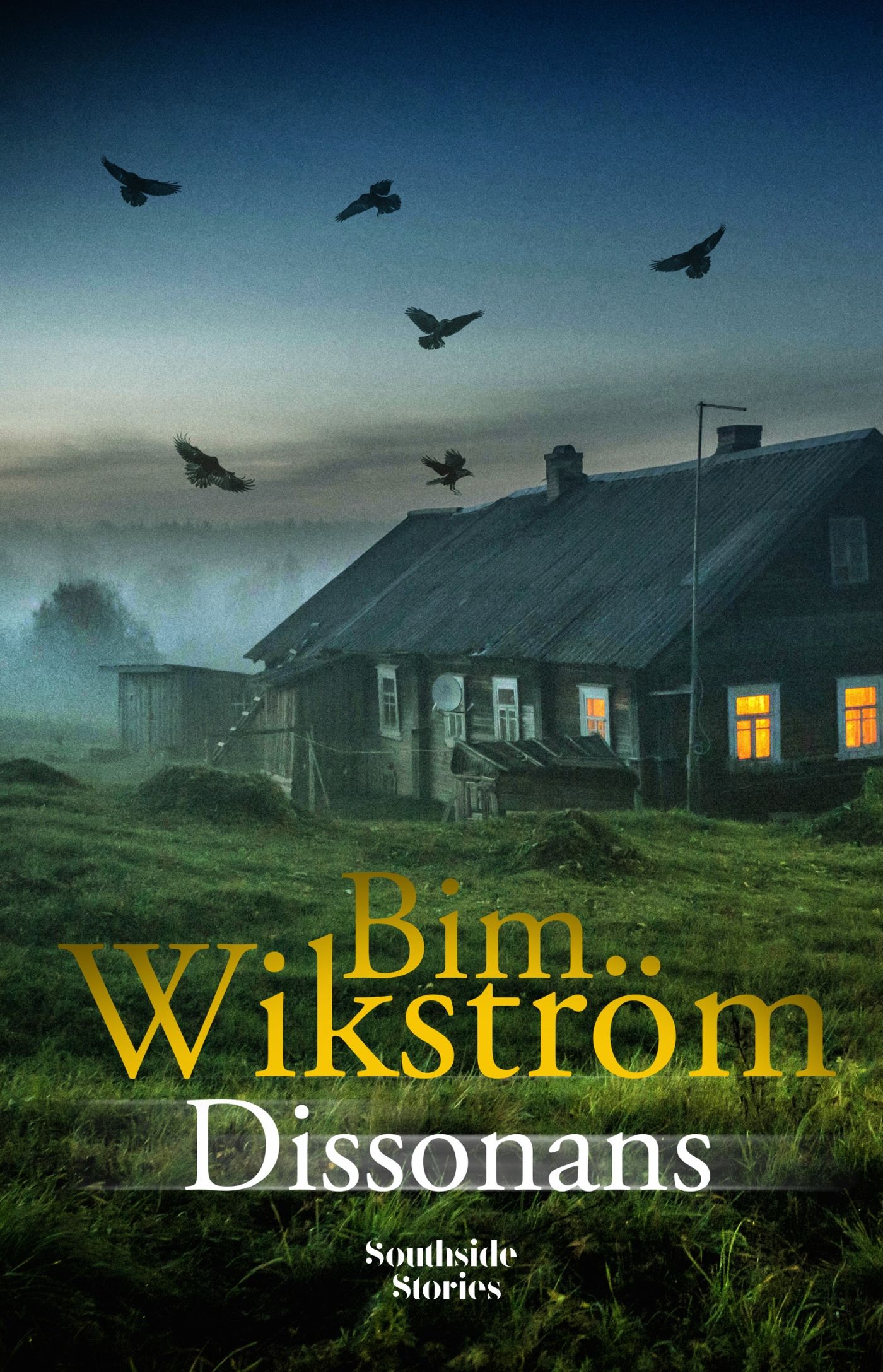 Dissonans, e-bok av Bim Wikström