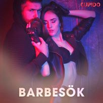 Barbesök, audiobook by Cupido