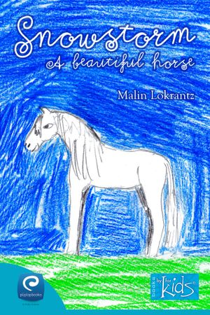 Snowstorm - A beautiful horse, eBook by Malin Lokrantz
