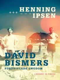 David Bismers fortvivlede ungdom, eBook by Henning Ipsen