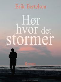 Hør hvor det stormer, audiobook by Erik Bertelsen
