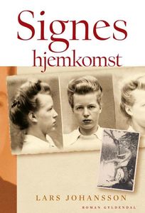 Signes hjemkomst, audiobook by Lars Johansson