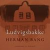 Ludvigsbakke, audiobook