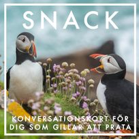 SNACK : Konversationskort för dig som gillar att prata (PDF), eBook by Nicotext Publishing