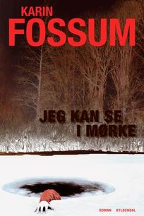 Jeg kan se i mørke, audiobook by Karin Fossum