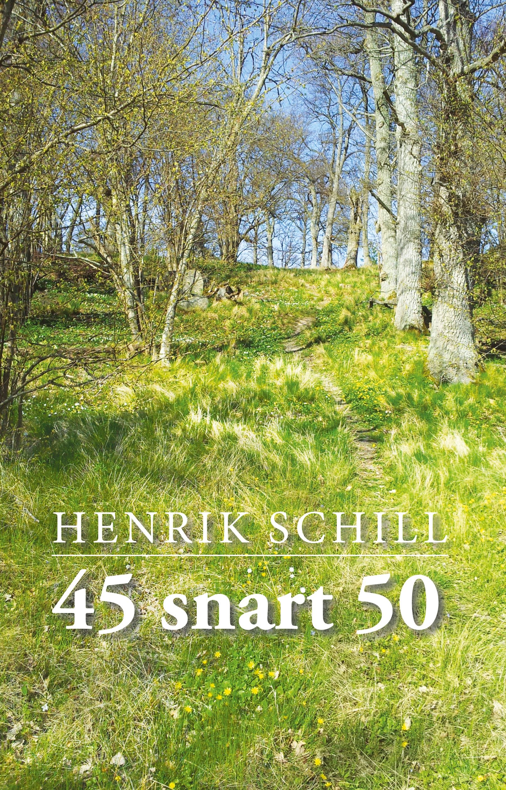 45 snart 50, eBook by Henrik Schill