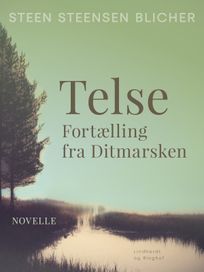 Telse. Fortælling fra Ditmarsken, eBook by Steen Steensen Blicher