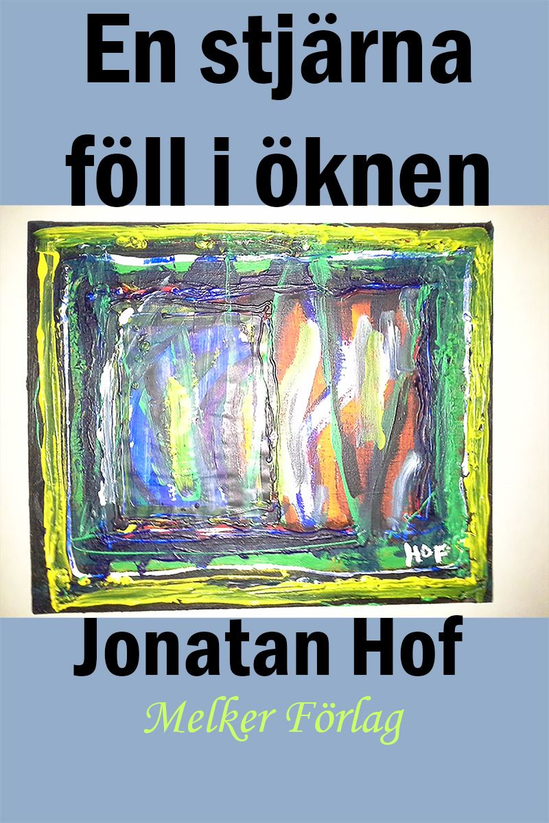 En stjärna föll i öknen, eBook by Jonatan Hof