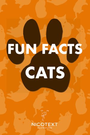 Fun Facts Cats, eBook by Nicotext Publishing