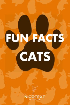 Fun Facts Cats, eBook by Nicotext Publishing