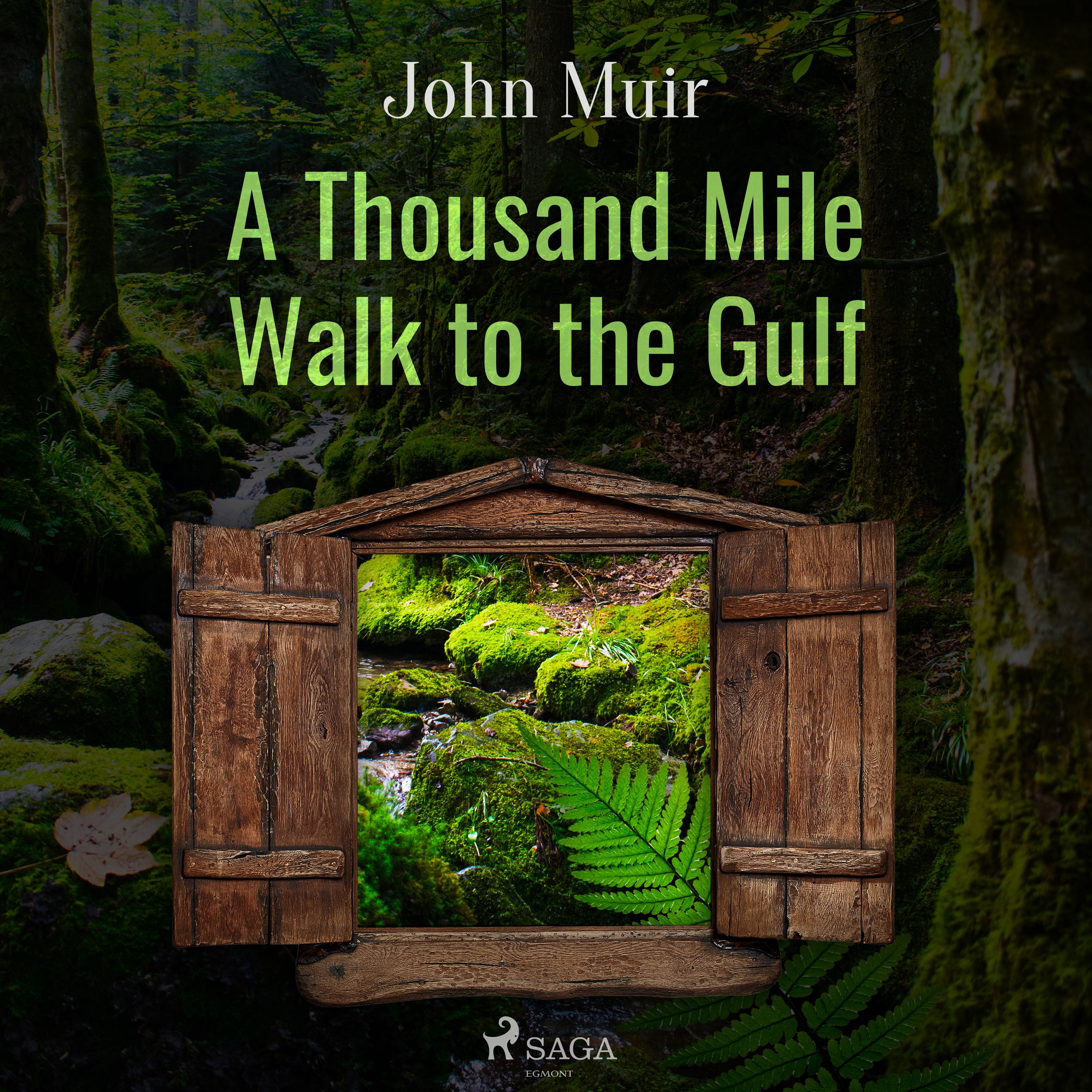 A Thousand Mile Walk to the Gulf, audiobook by John Muir