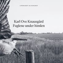 Fuglene under himlen, audiobook by Karl Ove Knausgård