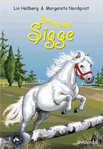 RAP-klubben 9 - Spring højt, Sigge, audiobook by Lin Hallberg