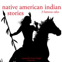 3 American Indian Stories, audiobook by Folktale