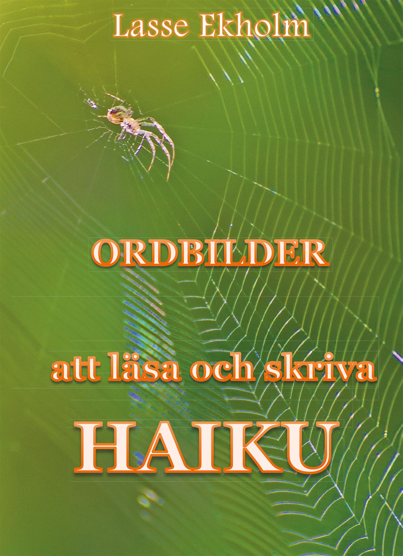 Ordbilder, eBook by Lasse Ekholm