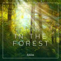 Ambience - In the Forest, audiobook by Rasmus Broe